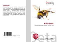 Buchcover von Katamenes