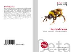 Buchcover von Knemodynerus