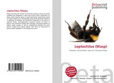 Buchcover von Leptochilus (Wasp)