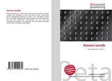 Buchcover von Ameni-seneb