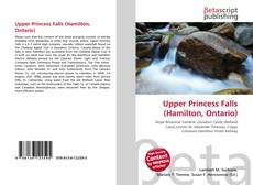 Couverture de Upper Princess Falls (Hamilton, Ontario)