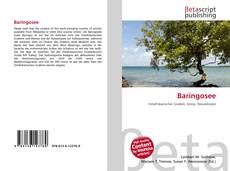Copertina di Baringosee