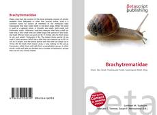 Buchcover von Brachytrematidae