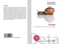 Couverture de Cirridae