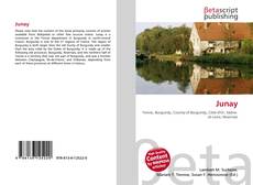 Couverture de Junay