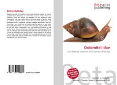 Bookcover of Dolomitellidae