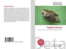 Buchcover von Fagotia Wuesti