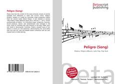 Buchcover von Peligro (Song)