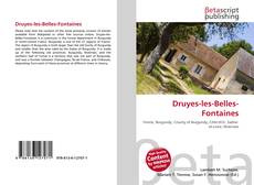 Обложка Druyes-les-Belles-Fontaines