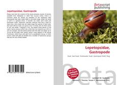 Lepetopsidae, Gastropode的封面