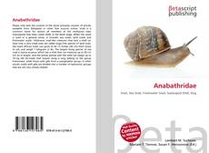 Anabathridae的封面