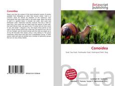 Copertina di Conoidea