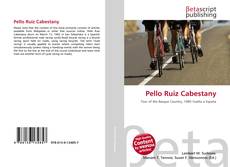 Bookcover of Pello Ruiz Cabestany