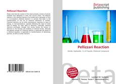 Buchcover von Pellizzari Reaction