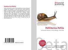 Couverture de Pellilitorina Pellita