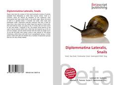 Copertina di Diplommatina Lateralis, Snails