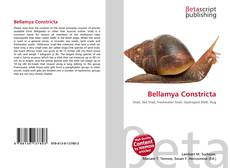 Buchcover von Bellamya Constricta