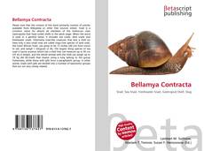 Couverture de Bellamya Contracta