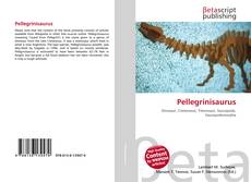 Bookcover of Pellegrinisaurus