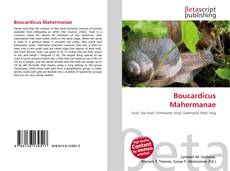 Bookcover of Boucardicus Mahermanae
