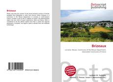 Buchcover von Brizeaux