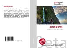 Capa do livro de Bareggtunnel 