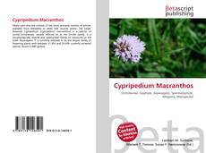 Buchcover von Cypripedium Macranthos