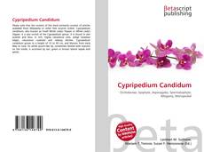 Cypripedium Candidum的封面