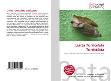 Borítókép a  Liarea Turriculata Turriculata - hoz