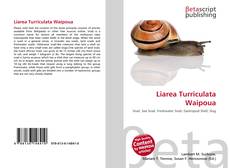 Buchcover von Liarea Turriculata Waipoua