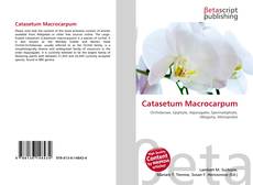 Bookcover of Catasetum Macrocarpum