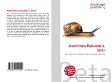 Bookcover of Assiminea Palauensis, Snail