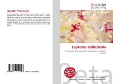 Buchcover von Leptotes Vellozicola