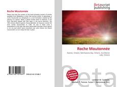Bookcover of Roche Moutonnée