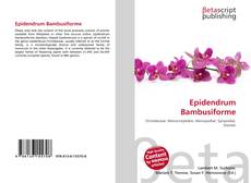 Buchcover von Epidendrum Bambusiforme