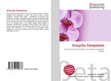 Buchcover von Encyclia Tampensis