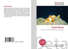 Buchcover von Sand Shiner