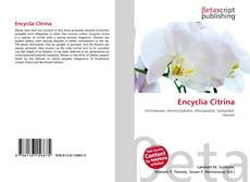 Bookcover of Encyclia Citrina