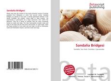 Bookcover of Sandalia Bridgesi