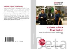 Bookcover of National Labour Organisation