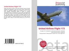 Bookcover of United Airlines Flight 173
