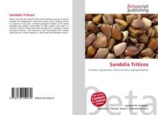 Bookcover of Sandalia Triticea