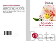 Bookcover of Bulbophyllum Amblyoglossum