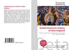Bookcover of United American Indians of New England
