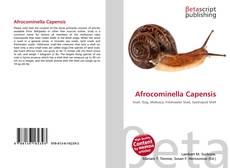 Bookcover of Afrocominella Capensis