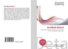 Sandbæk Report kitap kapağı
