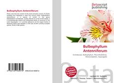 Bulbophyllum Antenniferum的封面