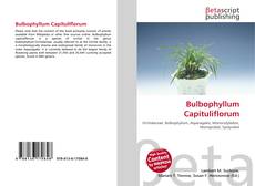 Bookcover of Bulbophyllum Capituliflorum