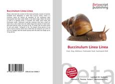 Copertina di Buccinulum Linea Linea