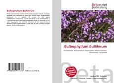 Copertina di Bulbophyllum Bulliferum